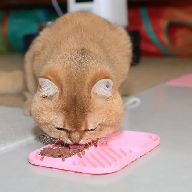 Alt view image 7 of 7 - Lick Mat for Cat & Puppy, Premium Silicone SlowFeeder Bowl, BPAFree, FoodGrade, SuctionCup Design for Dry & Wet Food Anxiety & Boredom Relief, Dishwasher & Freezer Safe, Pink