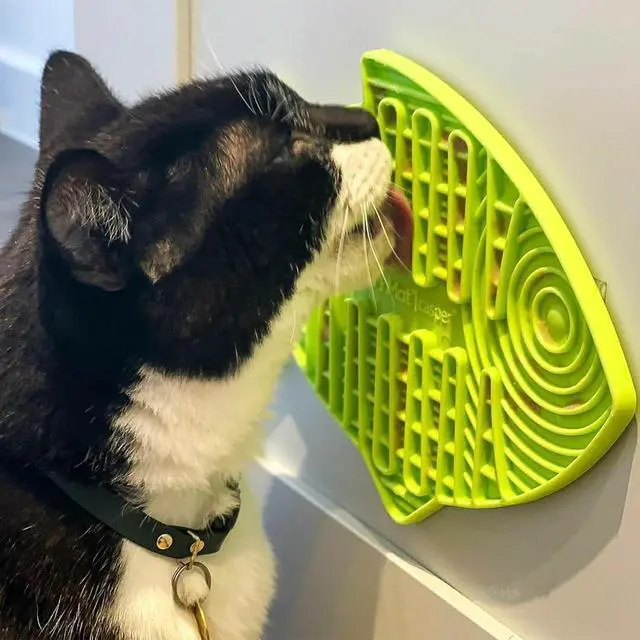 Alt view image 5 of 7 - LickiMat Casper, Fish-Shaped Cat Slow Feeders Lick Mat, Boredom Anxiety Reducer; Perfect for Food, Treats, Yogurt, or Peanut Butter. Fun Alternative to a Slow Feed Cat Bowl or Dish, Green