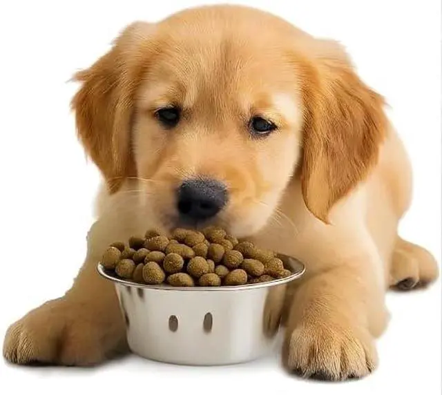 Alt view image 6 of 7 - 4 Pack Stainless Steel Cat & Dog Bowls, 8 oz Each, Small Pet Feeding Dishes for Food & Water, Lightweight & Durable