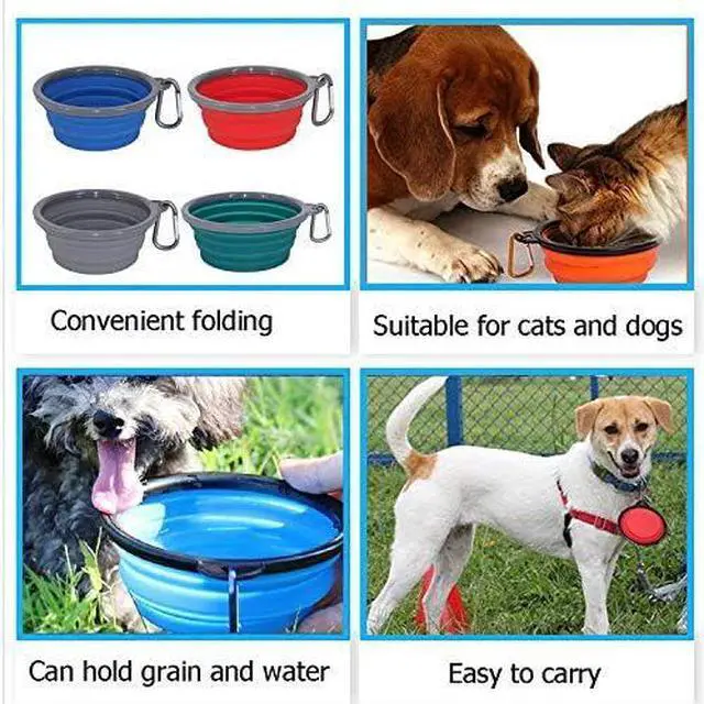 Main image of 2 Pack,12 oz Collapsible Silicone Dog Bowls,Foldable Travel Dog Feeder with Plastic Rim and D-Ring,Portable Basic Dog Bowl,Foldable Feeding Watering pet Supplies (Green)