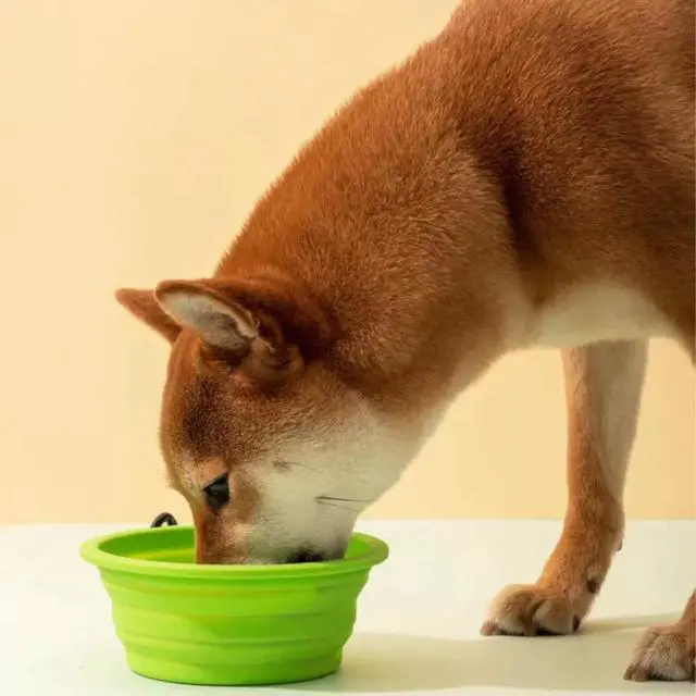 Alt view image 3 of 6 - Collapsible Travel Pet Bowl with Carabiner for Dogs and Cats, Portable Silicone Pet Bowl for Waking, Hiking and Traveling (Yellow)
