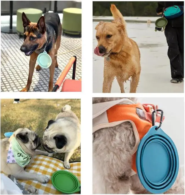 Alt view image 5 of 6 - Collapsible Travel Pet Bowl with Carabiner for Dogs and Cats, Portable Silicone Pet Bowl for Waking, Hiking and Traveling (Yellow)