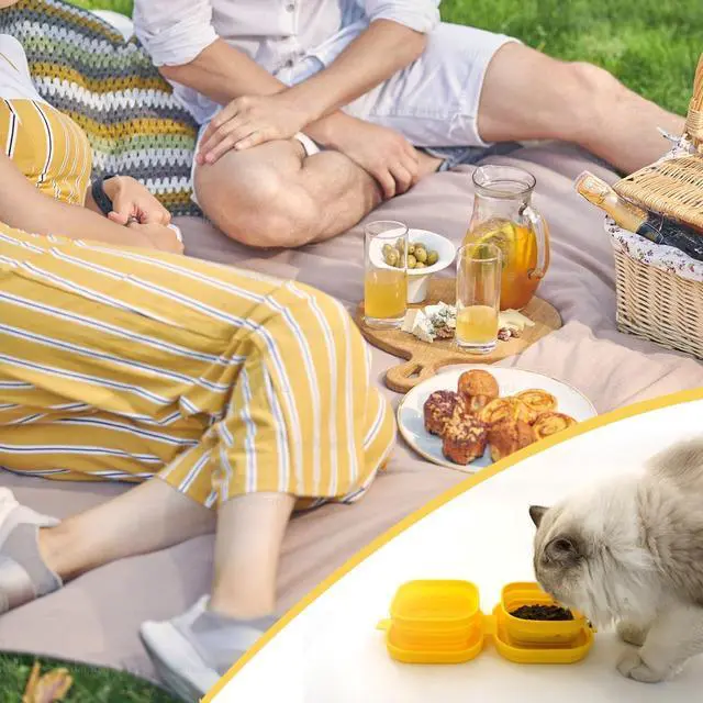 Alt view image 6 of 6 - Travel Twin Pet Bowls for Cats or Dogs, Collapsible Silicone Bowls for Food and Water Feeding, Portable Hiking Cat Bowl