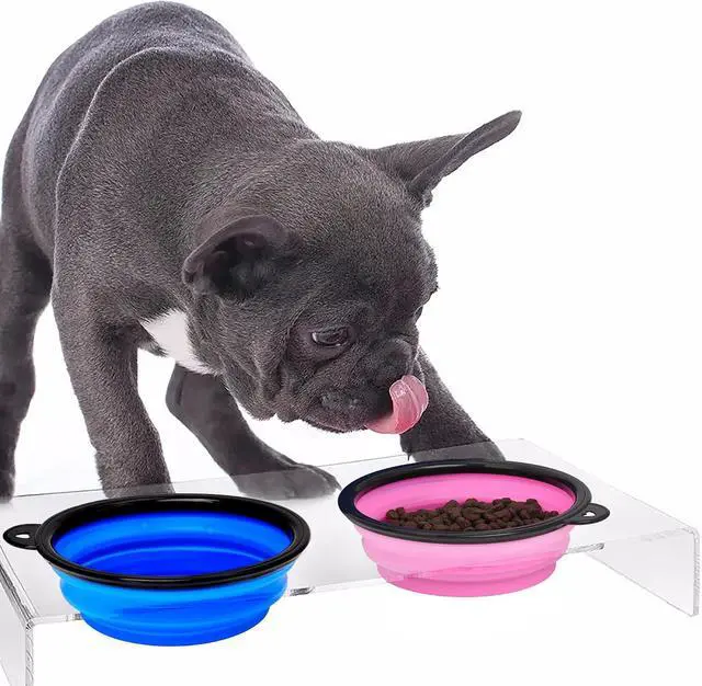 Alt view image 5 of 7 - 2 Pack Dog Bowl Pet Collapsible Bowls with Clasp Puppy Travel Bowl Portable Cats Water Food Dish for Walking Parking Outdoors Traveling