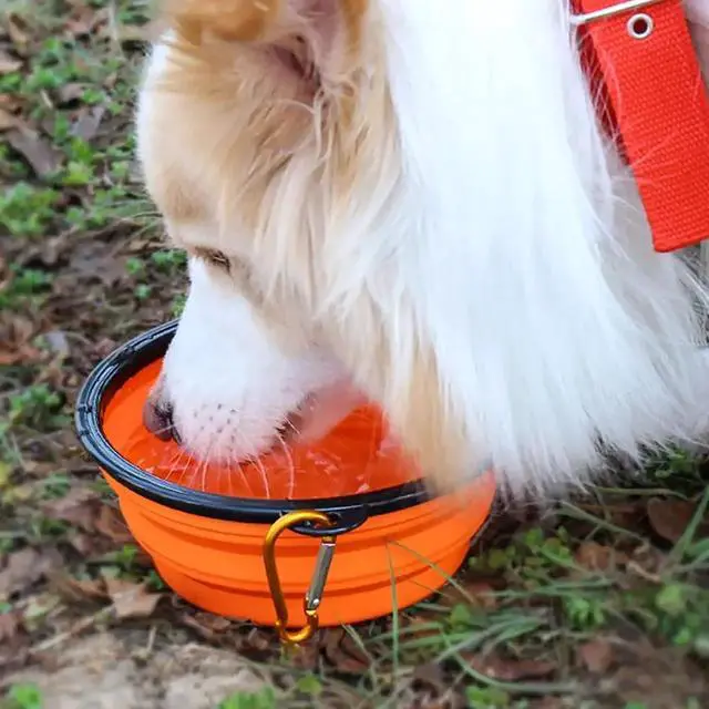 Alt view image 6 of 7 - 2 Pack Dog Bowl Pet Collapsible Bowls with Clasp Puppy Travel Bowl Portable Cats Water Food Dish for Walking Parking Outdoors Traveling