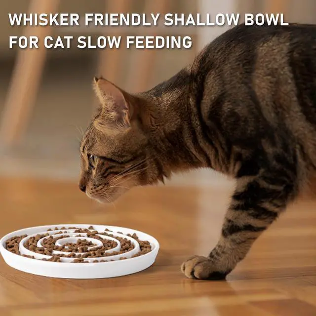 Alt view image 2 of 7 - Ceramic Cat Slow Feeder,Shallow and Wide Opening Dish for Whisker Friendly,Anti Knocked Over Heavy Plate Bowls for Puppy Kitten Dry and Wet Food