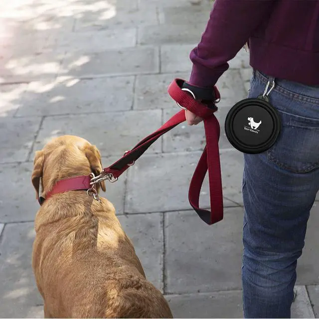 Alt view image 7 of 7 - Rest-Eazzzy Collapsible Dog Bowls, 2 Pack Sturdy Portable Dog Water Bowls | Wear-Resistant TPE, Anti-Dust Foldable Travel Dog & Cat Bowls for Camping Walking Hiking with Carabiners