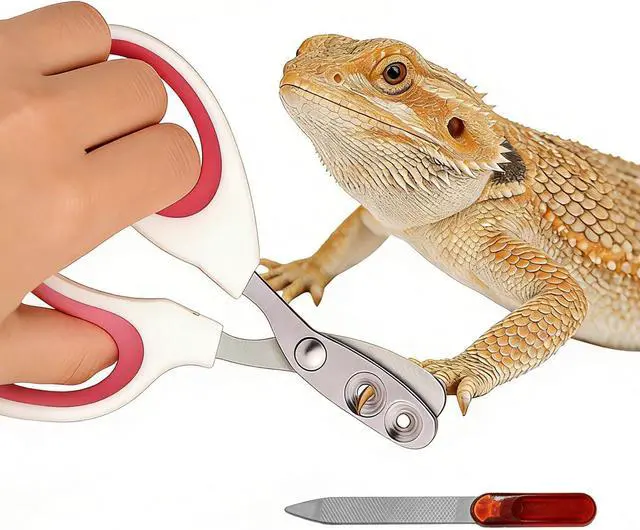 Main image of Professional Stainless Steel Bearded Dragon Nail Clippers and File - Perfect Pet Grooming Tool for Bearded Dragon, Lizard,Turtle,Chameleon - Reptile Care Supplies