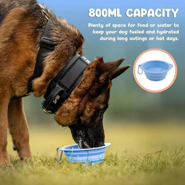Alt view image 3 of 7 - Collapsible Dog Bowl - 800ml/27 oz Portable Silicone Travel Water Bowl for Dogs with Carabiner | Foldable, Dishwasher Safe | Hiking, Camping Dog Essentials & Outdoor Pet Feeding - Blue