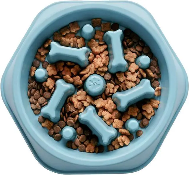 Main image of Slow Feeder Dog Bowls Anti Gulping Reduces Gastric Burden Prevents Bloat and Digestive Issues Safe Durable Material Easy to Clean Puppy Slow Feeder Bowl for Healthy Eating Excess Energy Management