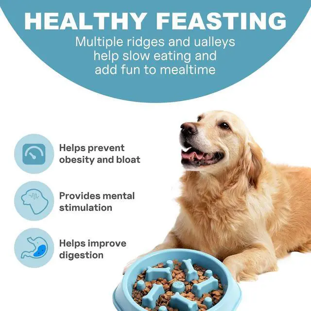 Alt view image 2 of 7 - Slow Feeder Dog Bowls Anti Gulping Reduces Gastric Burden Prevents Bloat and Digestive Issues Safe Durable Material Easy to Clean Puppy Slow Feeder Bowl for Healthy Eating Excess Energy Management
