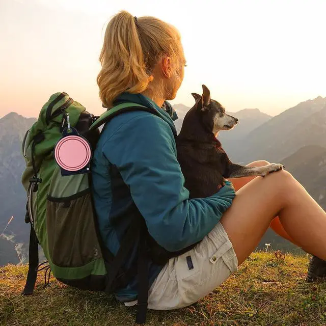 Alt view image 6 of 6 - SLSON Collapsible Dog Dual Bowls Reinforced Rim 180 Degrees Flip Over Foldable Double Bowl with Lock Clips More Stable Dog Travel Bowls Pet Food Water Feeder (Light Pink)
