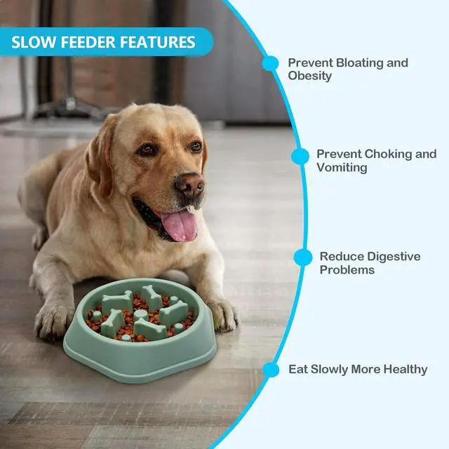 Alt view image 7 of 7 - UPSKY Slow Feeder Dog Bowl Anti-Chocking Slower Feeding Pet Puzzle Bowls | Interactive Bloat Stop Dog Food Dishes, Non-Slide Dogs Lick Treat for Small Medium, Slow-Eating Maze Design, Easy to Clean