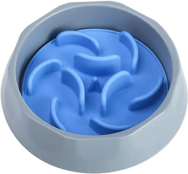 Main image of Slow Feed Dog Bowl with Detachable Silicone Insert 2-in-1 Pet Food & Water Bowl, Anti-Bloat Design, 170mm Diameter, 190mm Base (Sky Blue)