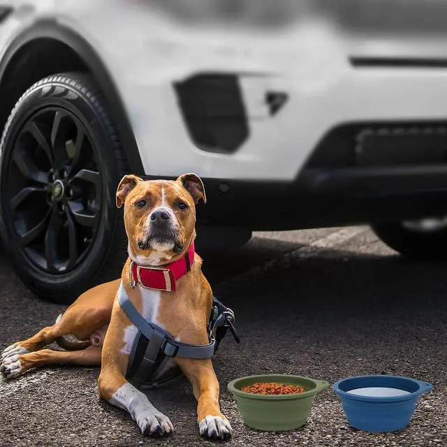 Alt view image 5 of 7 - SLSON 2Pack Collapsible Dog Bowl,Integrated Molding Travel Bowl No Plastic Rim Pet Feeding Bowls for Walking Traveling Outdoors,600ML (Navy Blue+Dark Green)