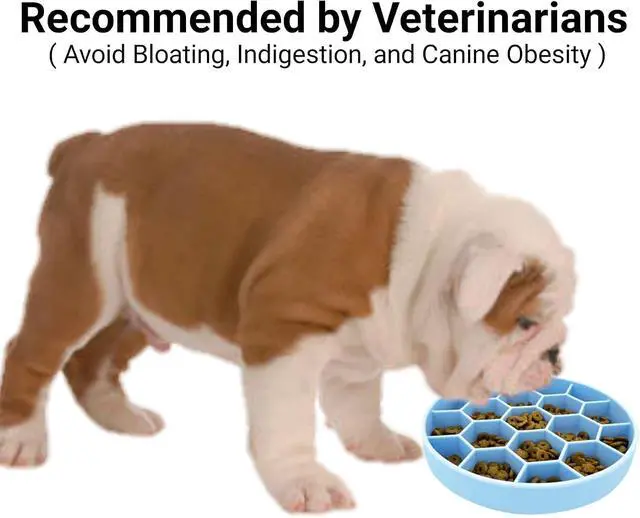 Alt view image 3 of 7 - Mr. Peanut's Interactive Slow Feed Dog Bowl, Fun Healthy Bloat Stop Feeder (Medium)