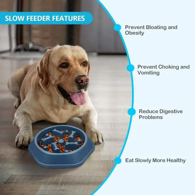 Alt view image 7 of 7 - UPSKY Slow Feeder Dog Bowl Anti-Chocking Slower Feeding Pet Puzzle Bowls | Interactive Bloat Stop Dog Food Dishes, Non-Slide Dogs Lick Treat for Small Medium, Slow-Eating Maze Design, Easy to Clean