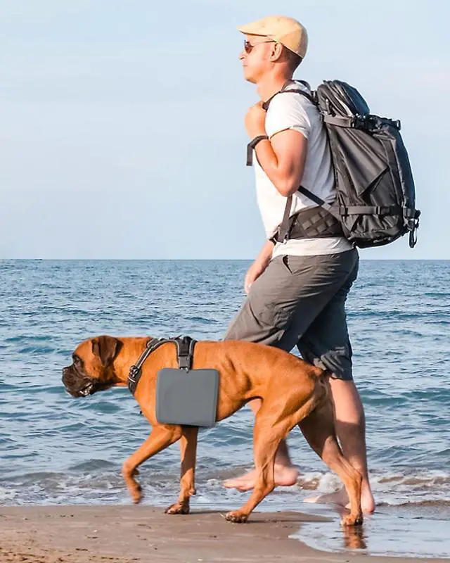 Alt view image 6 of 6 - Collapsible Portable 2-in-1 Dog Bowl, Travel Dog Bowl Integrated, Silicone Foldable Expandable Food Water Bowl with Carabiner - Anti-Spill and Anti-Skid - for Camping/Traveling LPFLASAT (Grey)