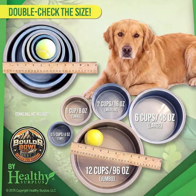 Alt view image 3 of 7 - Pet Crock Bowl Thick Durable Plastic Non-Tip Food & Water Dish for Small Dogs, Cats, Birds, Lizards & Other Small Animals Indoor/Outdoor Chew Resistant, Easy Clean (Beige, .5 Cup (4oz))