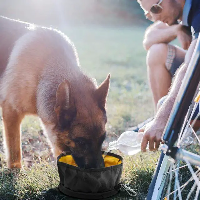 Alt view image 7 of 7 - LumoLeaf Collapsible Dog Travel Bowl, 8 Cups Large Lightweight Foldable Bowl, Water and Food Bowls for Pets Dogs Cats with Zipper