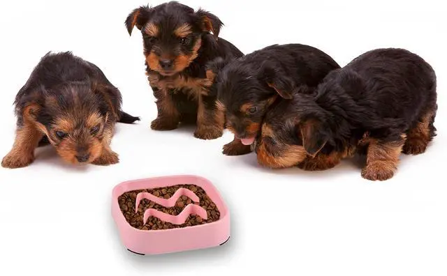 Alt view image 7 of 7 - 2 Pack Slow Feeder Bowls - Small Breed, Pink Silicone, Slow Down Eating Speed for Medium Small Breed Dogs & Cats