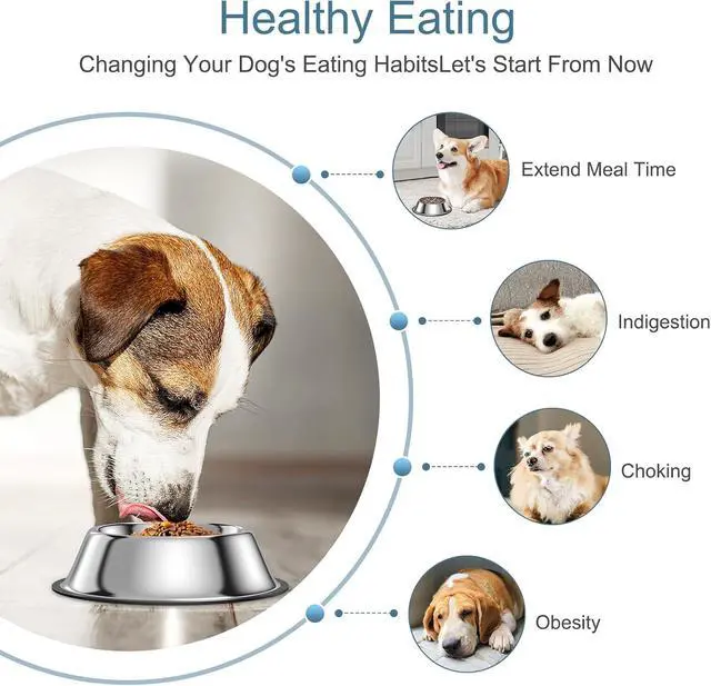 Alt view image 7 of 7 - 2-in-1 Metal Dog Bowl with Slow Feeder Insert, Food Grade 304 Slow Feeder Dog Bowls, Non-Slip Bottom, Pet Slower Food Feeding Bowls for Increases Feeding Time, Reduces Digestive Problems (M)