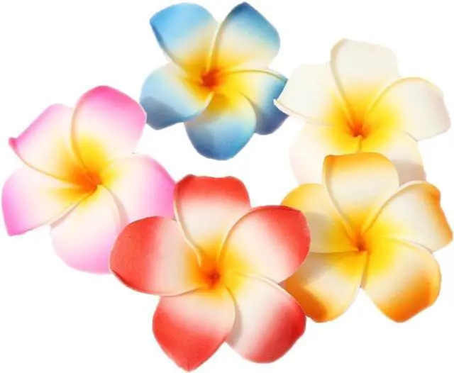 Main image of GSHLLO 10 Pcs 7cm Multicolor Hawaiian Hair Clip Beach Foam Flower Headpieces for Wedding Party Accessories