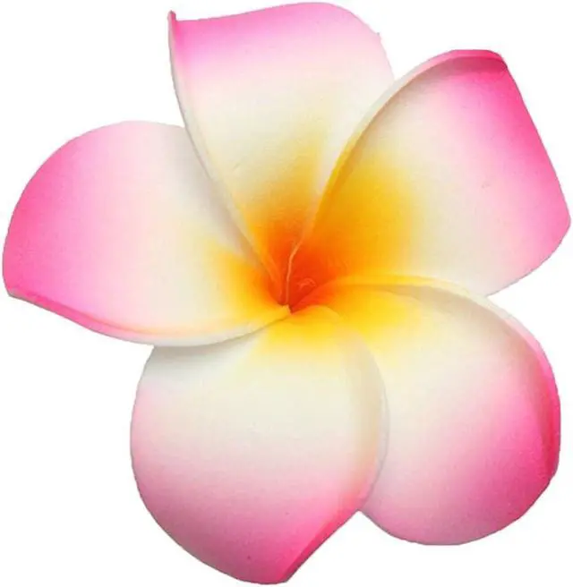 Alt view image 3 of 4 - GSHLLO 10 Pcs 7cm Multicolor Hawaiian Hair Clip Beach Foam Flower Headpieces for Wedding Party Accessories