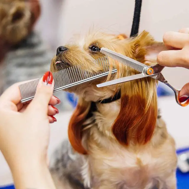 Alt view image 6 of 7 - Dog Combs for Grooming, Metal Cat Comb for Long Haired | Removing Tangles and Knots, Professional Grooming Tool for Long Haired Dog, Cat and other pets