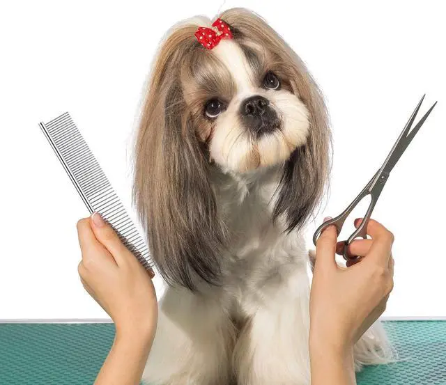 Alt view image 7 of 7 - Dog Combs for Grooming, Metal Cat Comb for Long Haired | Removing Tangles and Knots, Professional Grooming Tool for Long Haired Dog, Cat and other pets