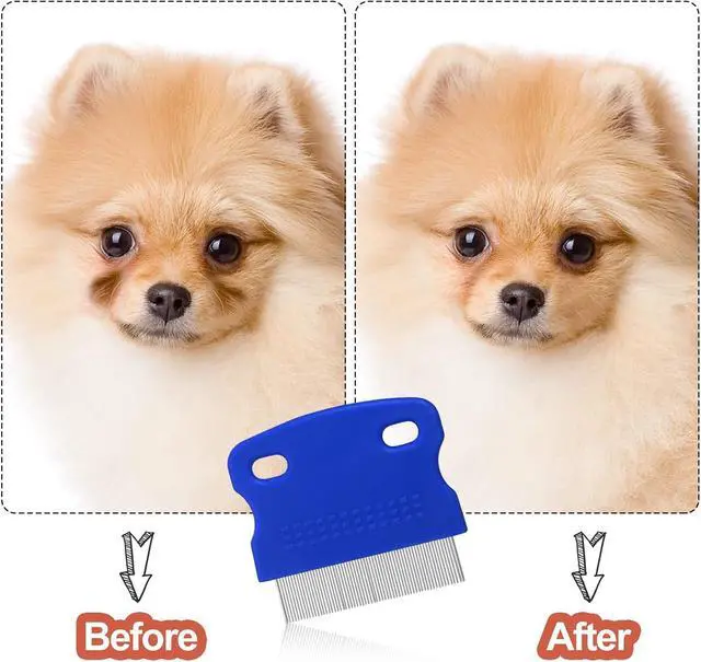 Alt view image 4 of 7 - 5 Pieces Dog Eye Combs Tear Stain Remover Combs Pet Grooming Comb for Small Dogs Gently Removing Eye Mucus and Crust (Blue, Black)