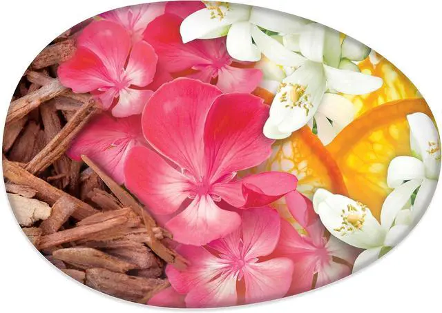 Alt view image 7 of 7 - Caress Beauty Bar Soap For Women, Daily Silk With Silk Extract and Floral Oil Essence Moisturizing Body Soap for Silky, Soft Skin, 3.75 oz, 2 Bath Bars