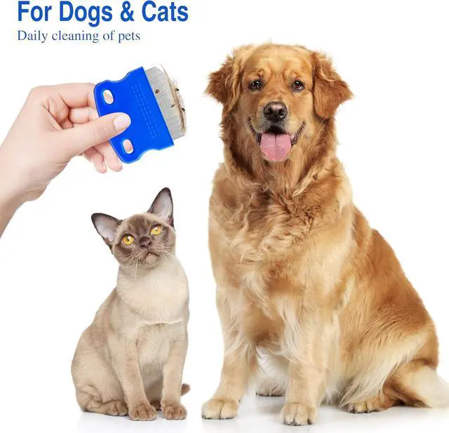 Alt view image 6 of 7 - 2 Pack Professional Eye Comb For Pets,Stainless Steel Tear Stain Remover,Flea Lice Comb,For Cats & Dogs,Gentle Round-Head Grooming Tool,Precisely Removes Stains, Dirt And Debris From The Eye Area