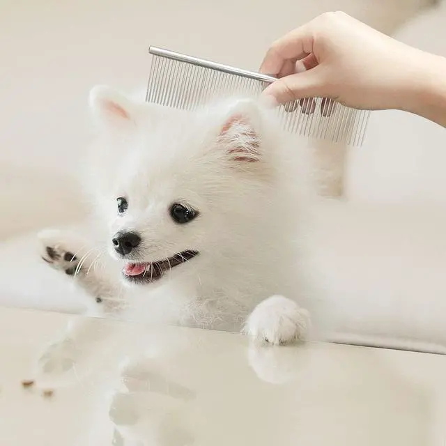 Alt view image 4 of 7 - Stainless Steel Pet Grooming Comb with Rounded Ends - Professional Tool for Long and Short-Haired Dogs, Cats and Greyhounds
