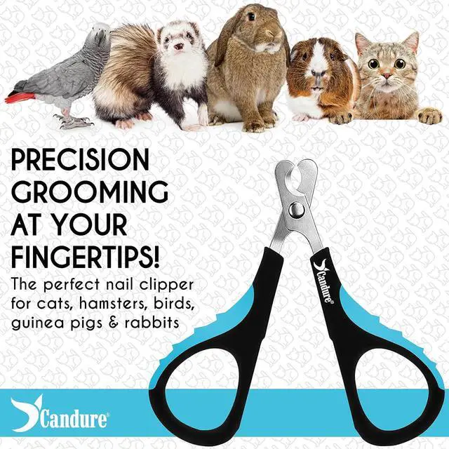 Alt view image 6 of 7 - Candure Cat Nail Clipper Stainless Steel Cat Claw Trimmers for Rabbits, Guinea Pigs, Birds, Puppies, Kittens and Small Animals Pet Nail Clipper for Professional and Home Use (Blue)