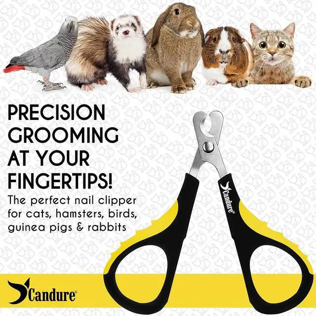 Alt view image 6 of 7 - Candure Cat Nail Clipper Stainless Steel Cat Claw Trimmers for Rabbits, Guinea Pigs, Birds, Puppies, Kittens and Small Animals Pet Nail Clipper for Professional and Home Use (Yellow)