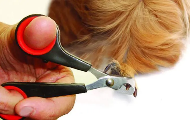 Alt view image 2 of 5 - Lixit® Grooming Kits For Rabbits, Guinea Pigs and other Small Animals (Red, Brush and Clipper Set)