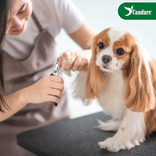 Alt view image 3 of 6 - Candure Dog Nail Clippers Professional Pet Nail Clipper Suitable for Cats, Rabbits and Guinea Pigs - Safety Lock/Protective Guard to Avoid Over Cutting (Green, Medium to Small)