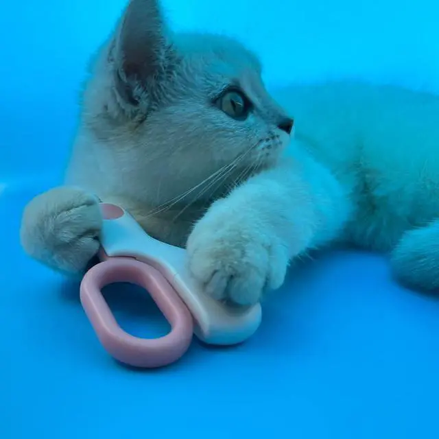 Alt view image 5 of 7 - Small Animals Nail Clippers with LED Lights to Avoid Excessive Cutting and Sharp Blades - Professional Claw Trimmer for Tiny Dog Cat Kitten Bunny Rabbit Bird Guinea Pigs Ferret Hamsters (Blue)