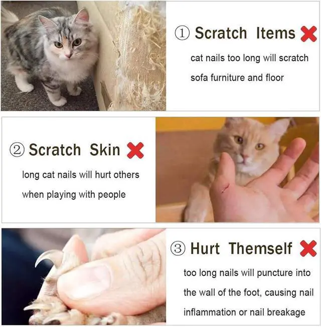 Alt view image 5 of 7 - VICTHY Pet Nail Clippers for Small Animals, Dog/Cat Nail Clippers Claw Toenail Trimmer, Professional Home Grooming Tool for Cat/Dog/Kitten/Puppy/Bunny/Rabbit/Bird/Ferret
