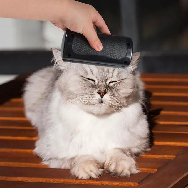 Alt view image 4 of 6 - Deshedding Pet Brush, Deshedding Brush for Indoor Cats, Dogs, Pet Hair Remover Comb for Short Long Hair, Easy Clean Pet Grooming Tool for Shedding Control