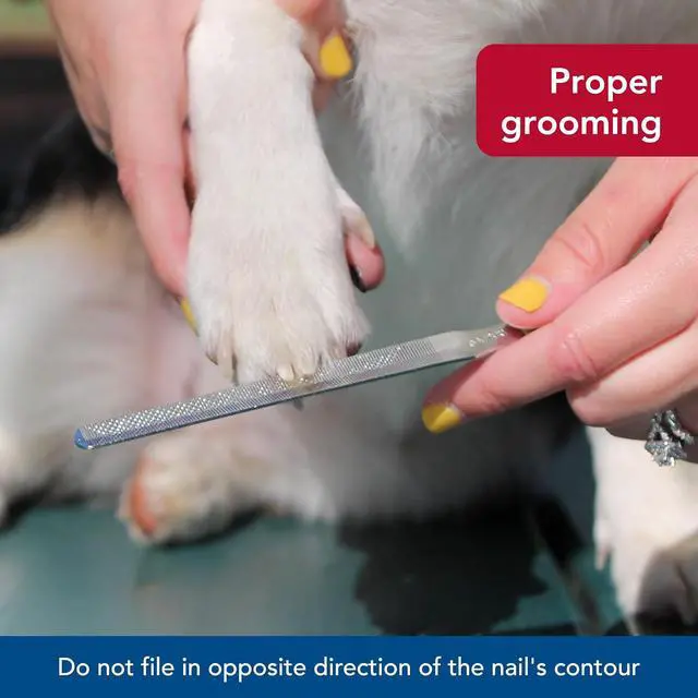 Alt view image 6 of 7 - Coastal Pet Safari Dog Nail File - Ensure a Smooth Finish After Cutting - Remove Burs from Outdoor & Indoor Dogs - One Size