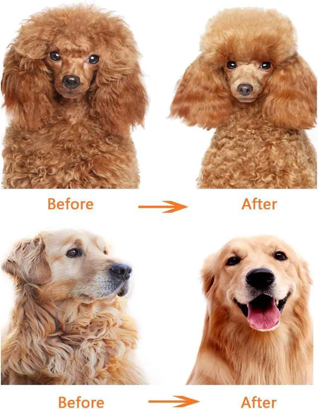 Alt view image 5 of 5 - Dog or Cat Comb Grooming with Short and Long Teeth Dematting Knots Tangles Remover Combs Detangler Tool Suitable for Dogs Cats Poodle HorseStainless Steel Pin (Black)