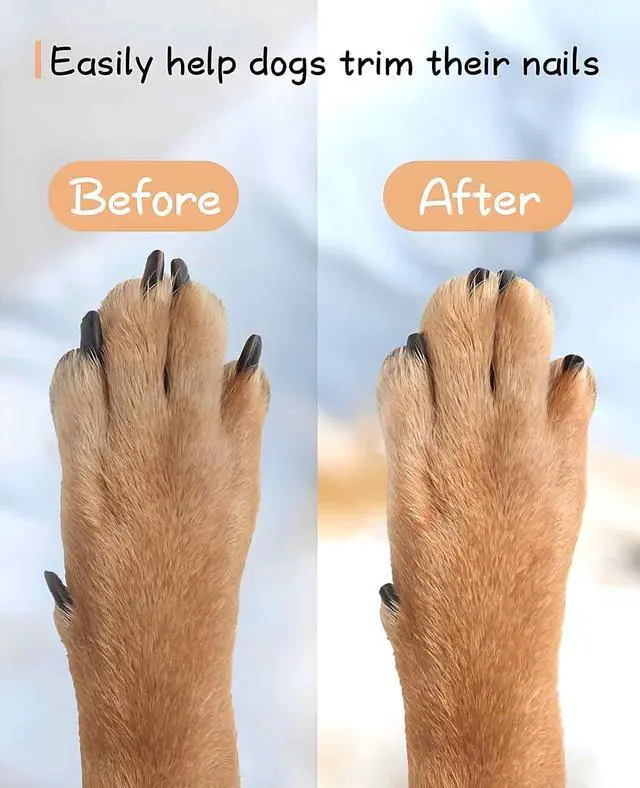 Alt view image 5 of 7 - Wooden Dog Nail File, Nail Grinder Board for Dogs with 6 PCS Replaceable Sandpape