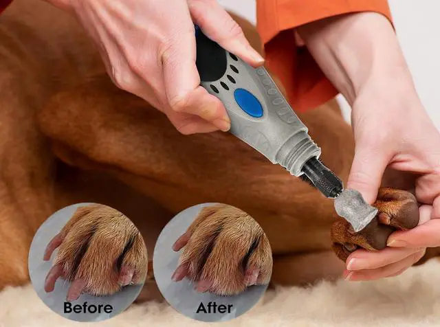 Alt view image 5 of 6 - for Dremel Dog Nail Grinder - Diamond Bits Attachment for Dog Nail - 1/8'' Painless Nail Grinder Bits Won't Pull Hair or Get Hot for Large Medium Small Dogs and Cats Paws Grooming
