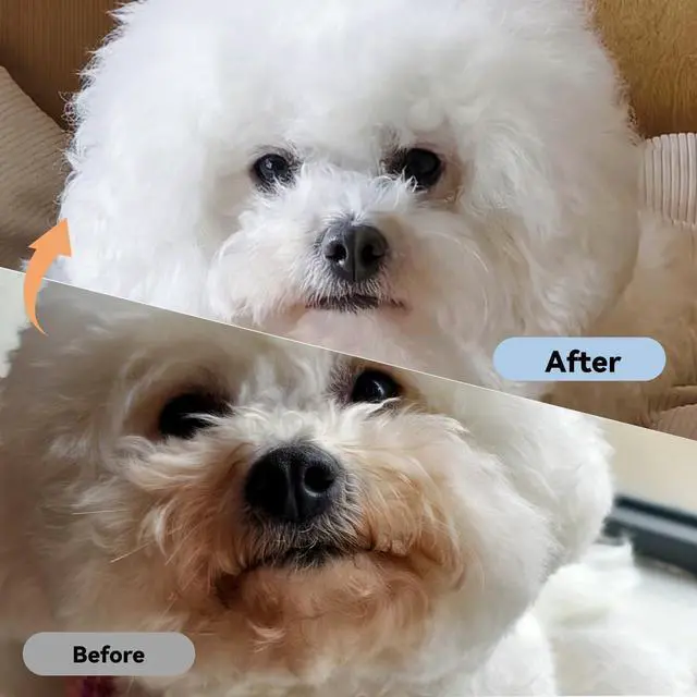 Alt view image 5 of 6 - 2 Pack Professional Pets Eye Combs,Pets Grooming Comb Kit,Stainless Steel Tear Stain Remover for Cats & Dogs,Flea Lice Comb,Gentle Curved Comb Teeth,Precisely Removes Stains (2pcs eye combs)