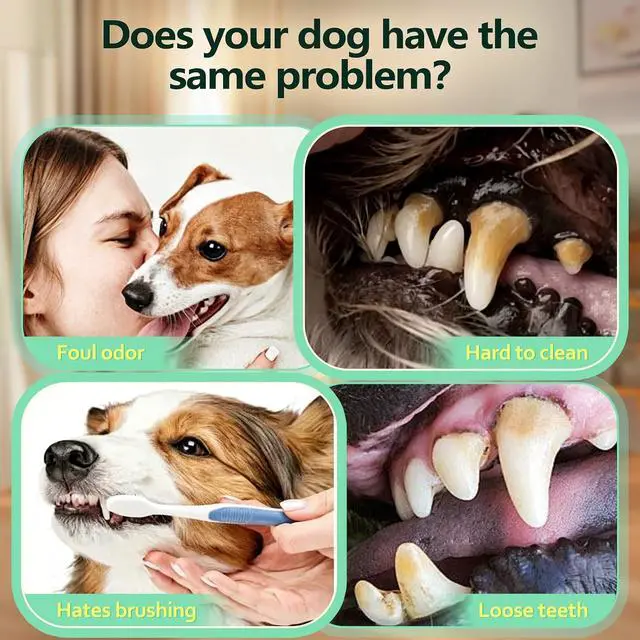 Alt view image 5 of 6 - Pet Wipes for Dogs Teeth Care, Disposable Finger Sleeve Dog Wipes 50 Count | Hypoallergenic Puppy Wipes, Gentle Cleaning & Hydrating Wipes for Dogs
