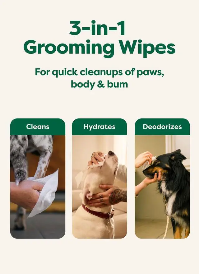 Alt view image 4 of 7 - Earth Rated Dog Wipes for Paws & Butt, Deodorizing, Lavender, 100ct | Hypoallergenic, 3-in-1 Cleaning and Hydrating, for Grooming Paws, Body and Butt