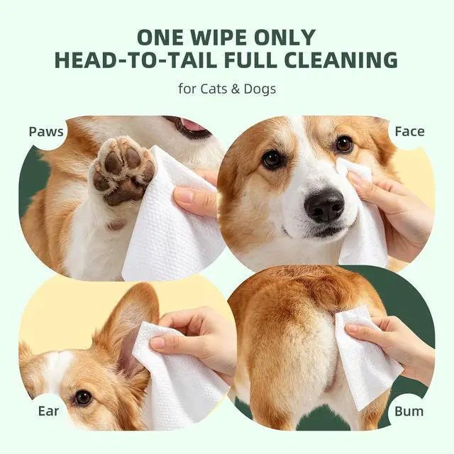 Alt view image 4 of 5 - IMMHABI 100 Count Dog Wipes for Paws and Butt Hypoallergenic Pets Cleansing & Deodorizing Hygienic Puppy Wipes for Dogs Face and Body Wipes Cleaning Fur Doggie Wipes Doggy Wipes (White Tea)