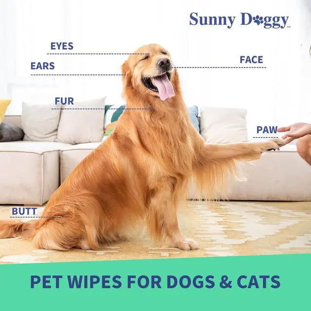 Alt view image 4 of 6 - Pet Wipes 80 Count, Dog Wipes Cleaning Deodorizing Cat Wipes, 8 x 8 Inch Dog Grooming Wipes for Butt Paws Ear Eyes and Body